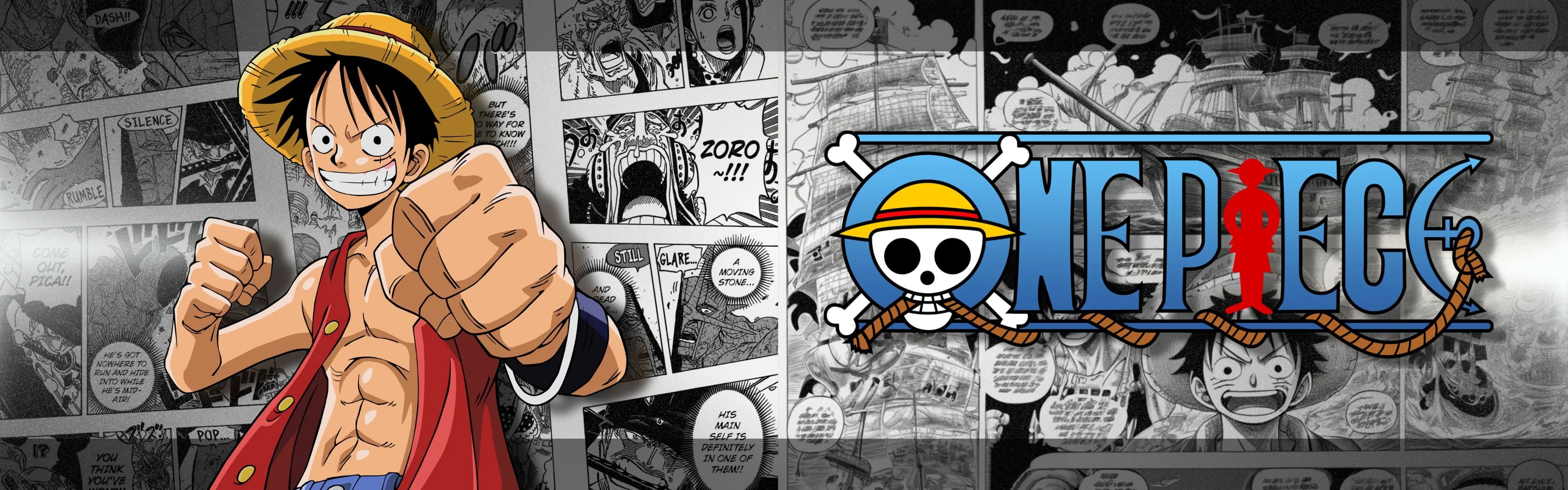 One Piece Premium